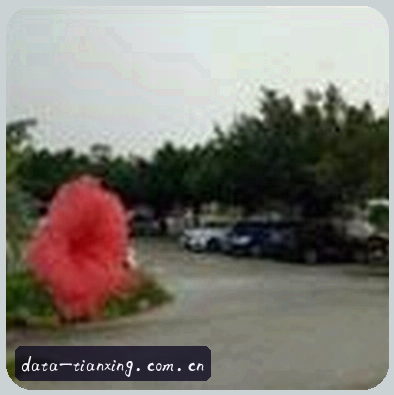 赵敏