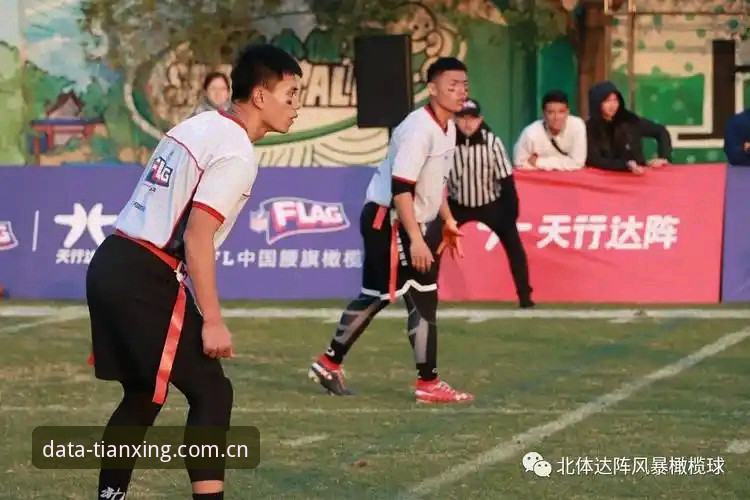 资深用户分享：天行体育平台客服使用指南实战经验